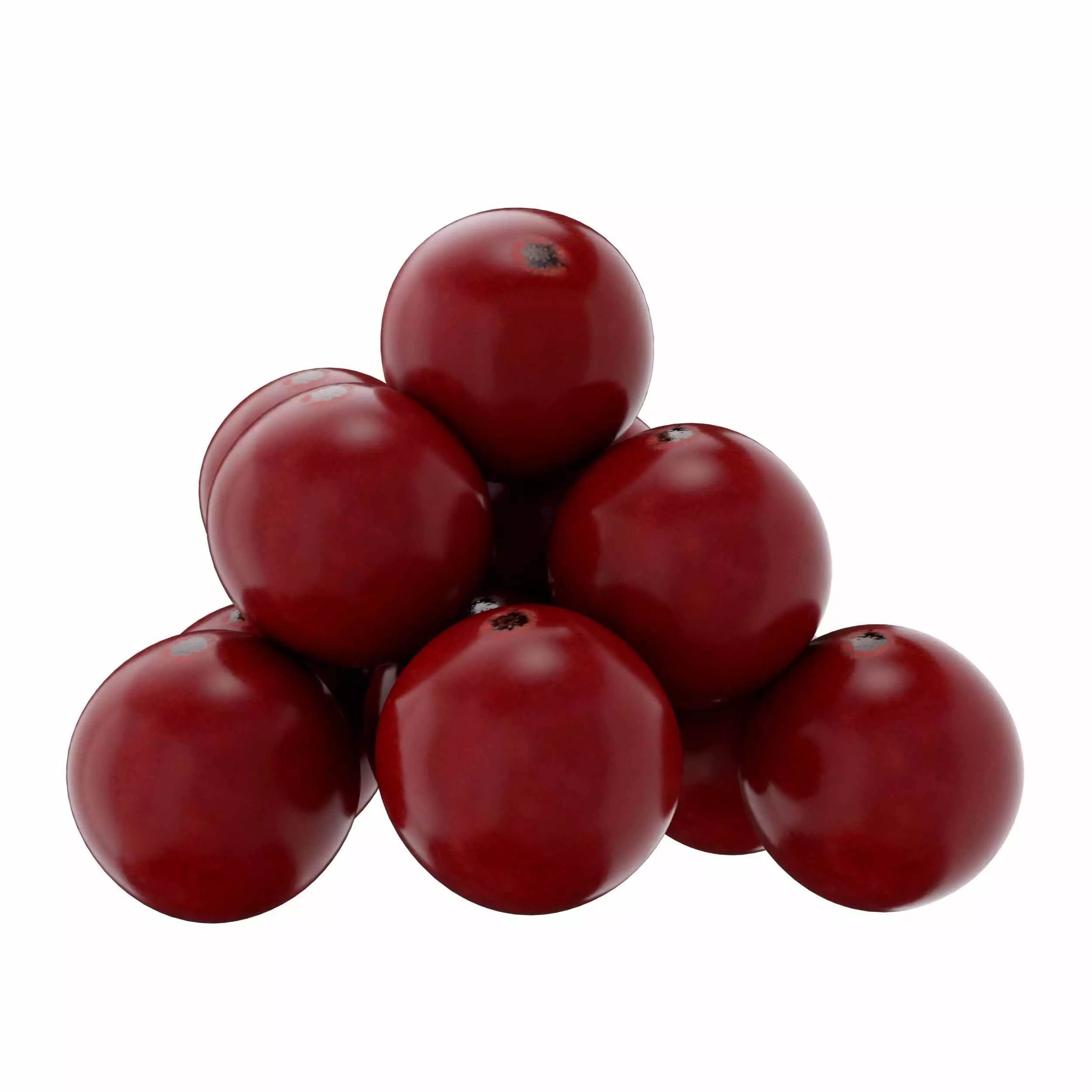 Red Currant 3D model_3