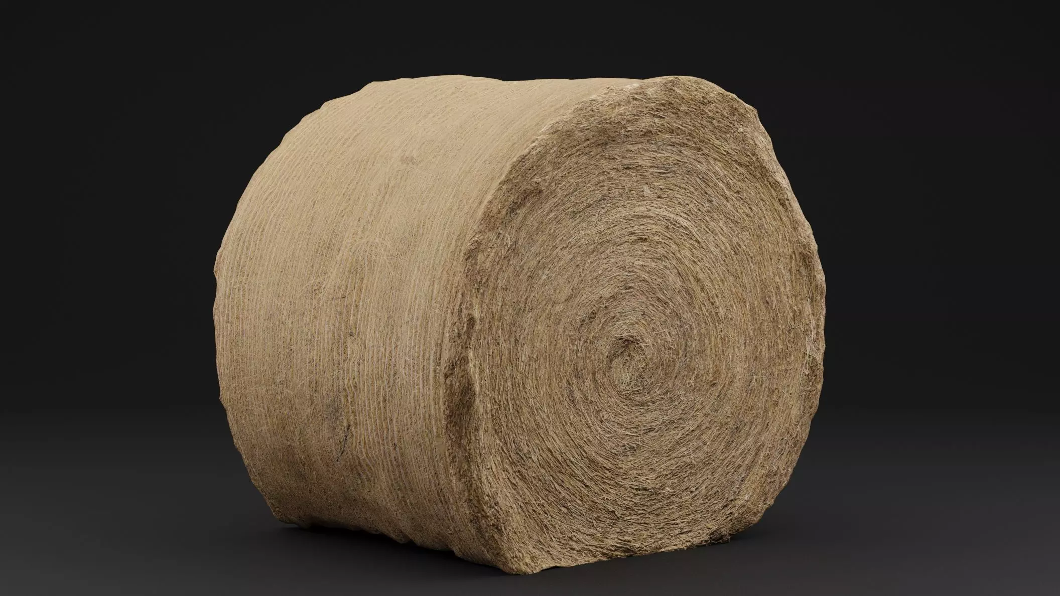 Hay Bale Low-poly 3D model_0