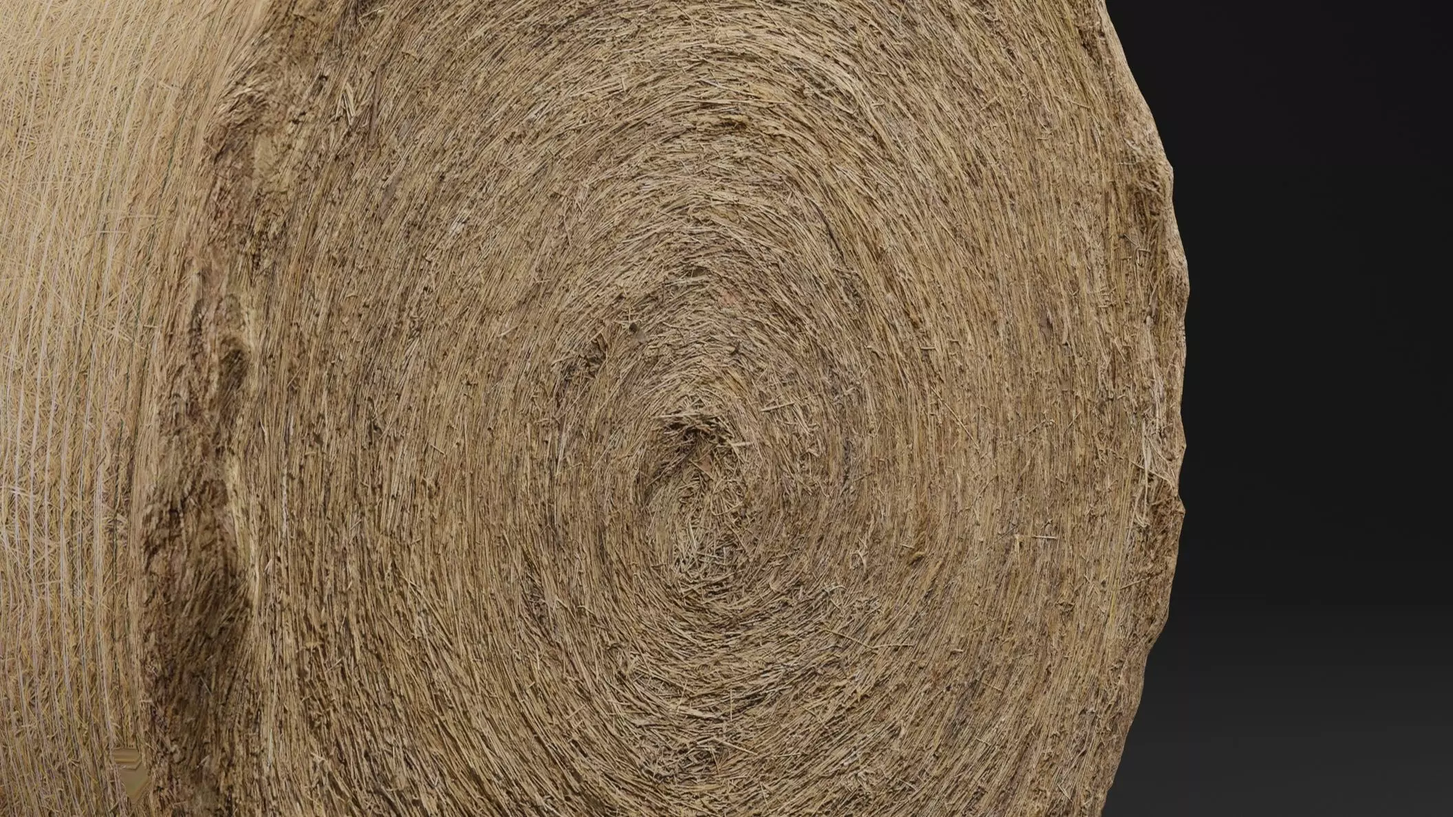 Hay Bale Low-poly 3D model_1