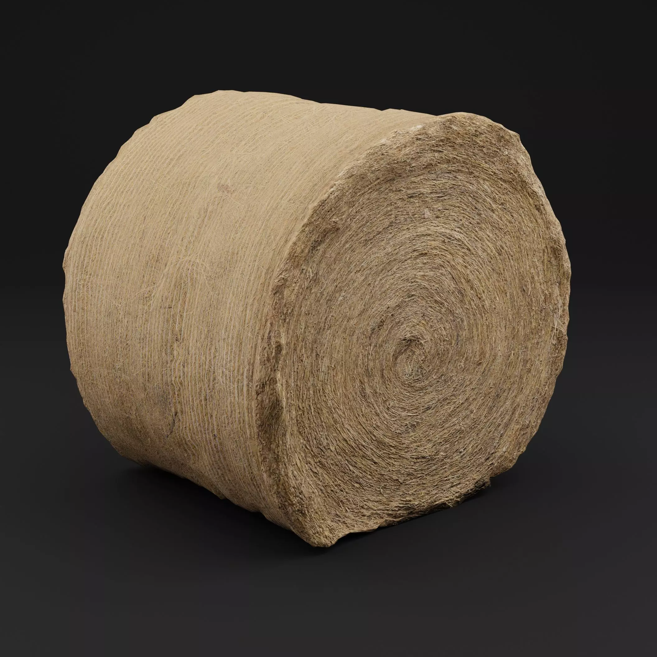 Hay Bale Low-poly 3D model_5