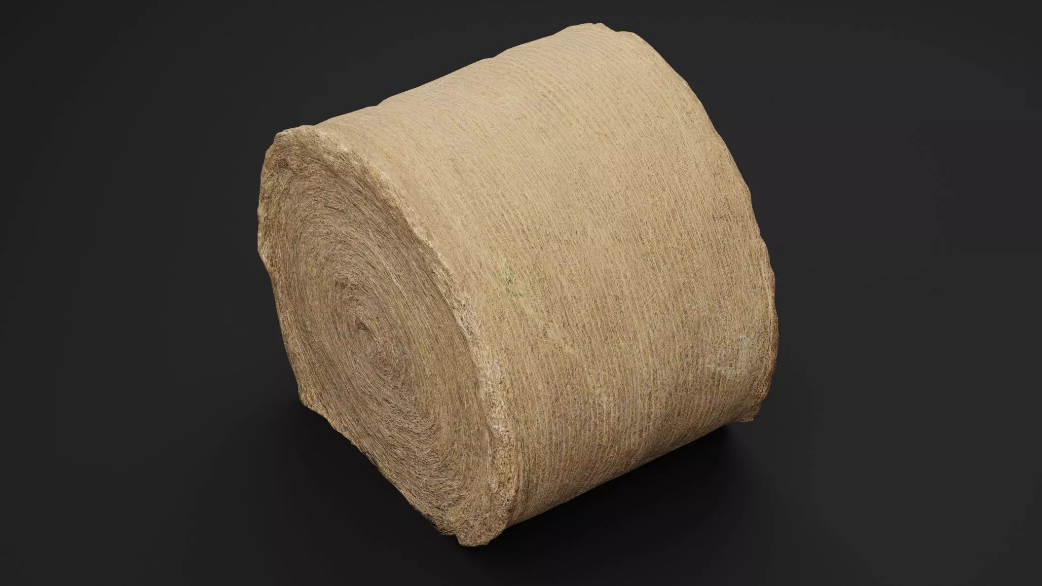 Hay Bale Low-poly 3D model_2