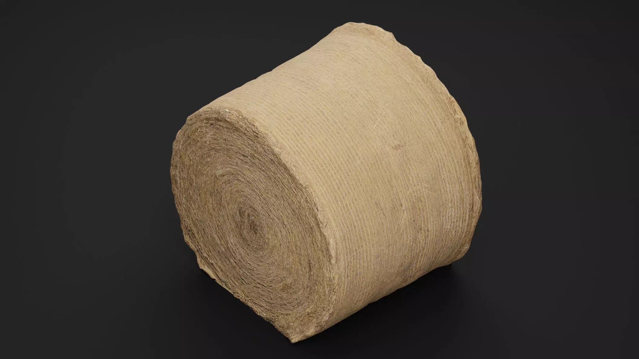 Hay Bale Low-poly 3D model_4