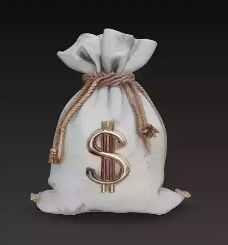 Money Bag