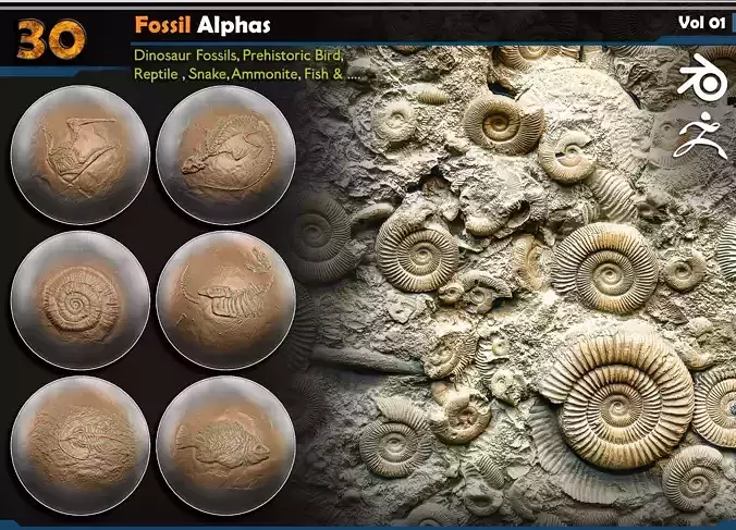 Fossil Alphas Vol 01