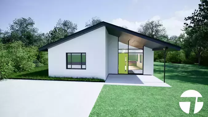 Modern house