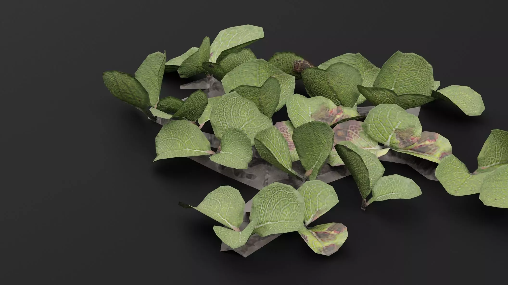 Dwarf Australian Weeping Willow Plant Low-poly 3D model_2