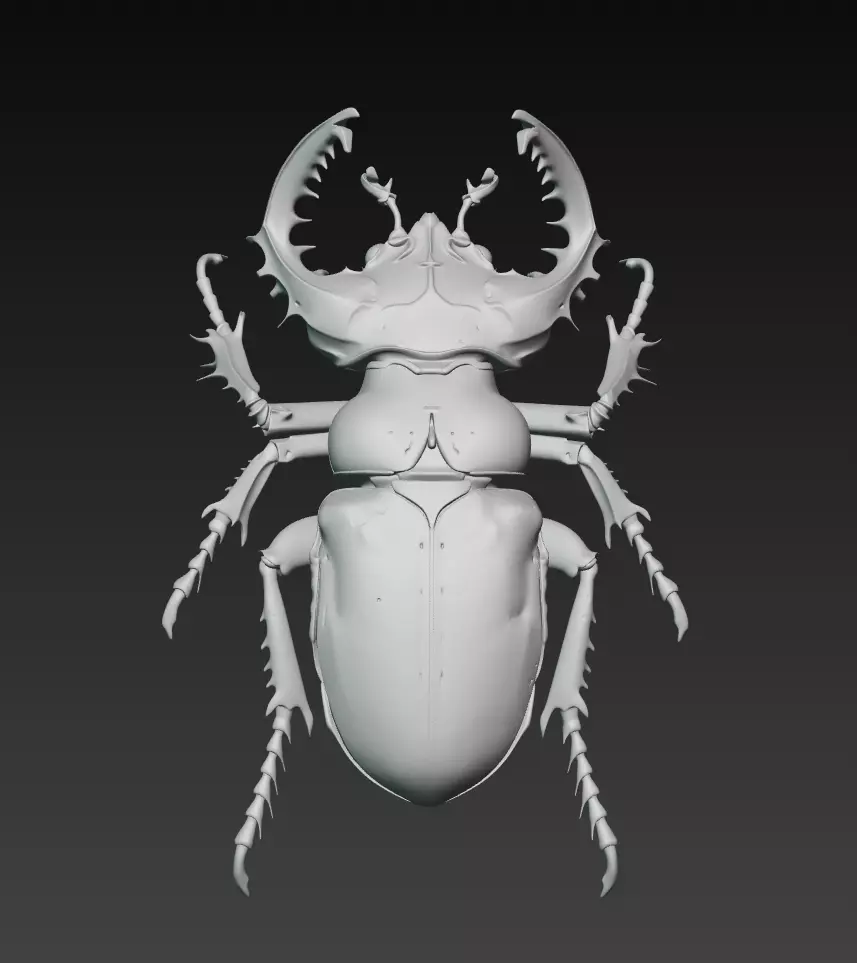 Cyber Insect Automaton - Mechanical Steampunk Bug Collection _2