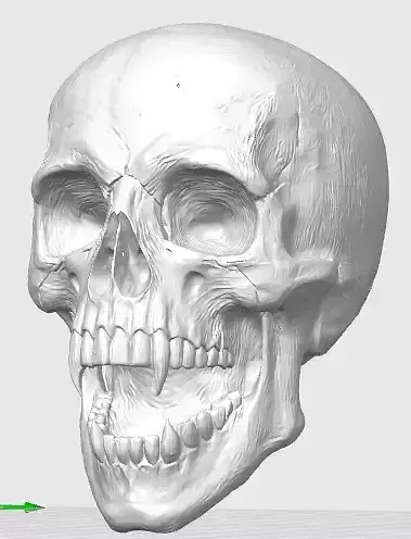 Schaedel Totenkopf mit Vampirzaehnen 3D print model