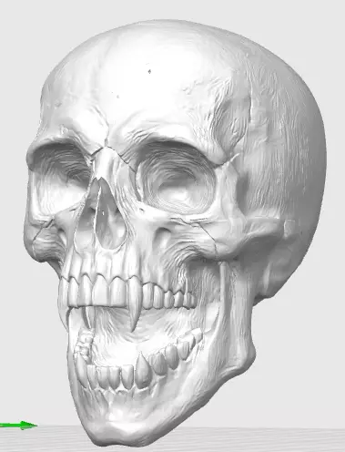 Schaedel Totenkopf mit Vampirzaehnen 3D print model_0