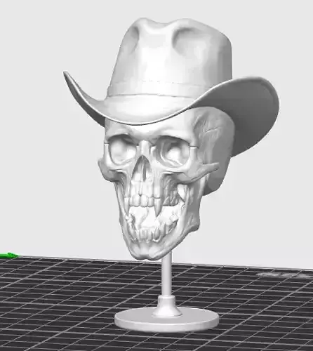 Schaedel mit Vampirzaehnen und Cowboyhut