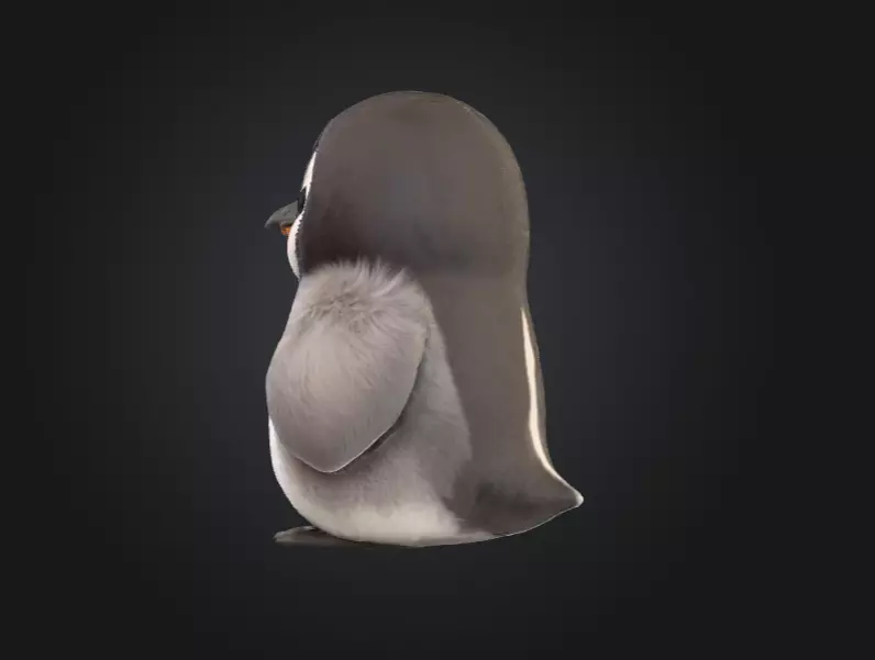 Fluffy Friend Penguin Low-poly 3D model_6