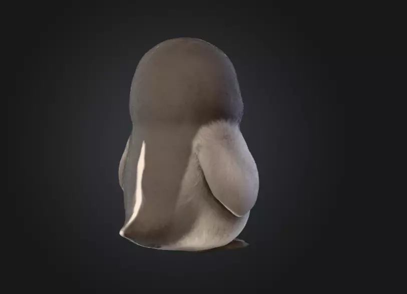 Fluffy Friend Penguin Low-poly 3D model_4