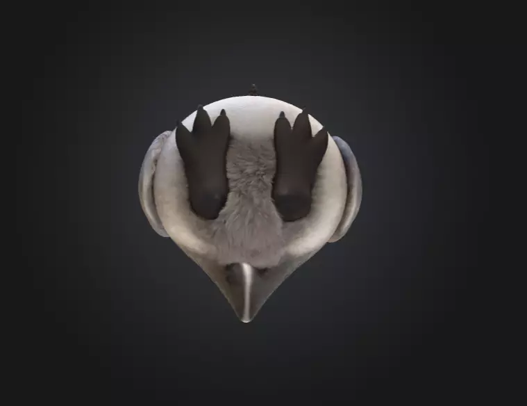 Fluffy Friend Penguin Low-poly 3D model_16