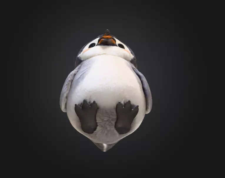 Fluffy Friend Penguin Low-poly 3D model_12