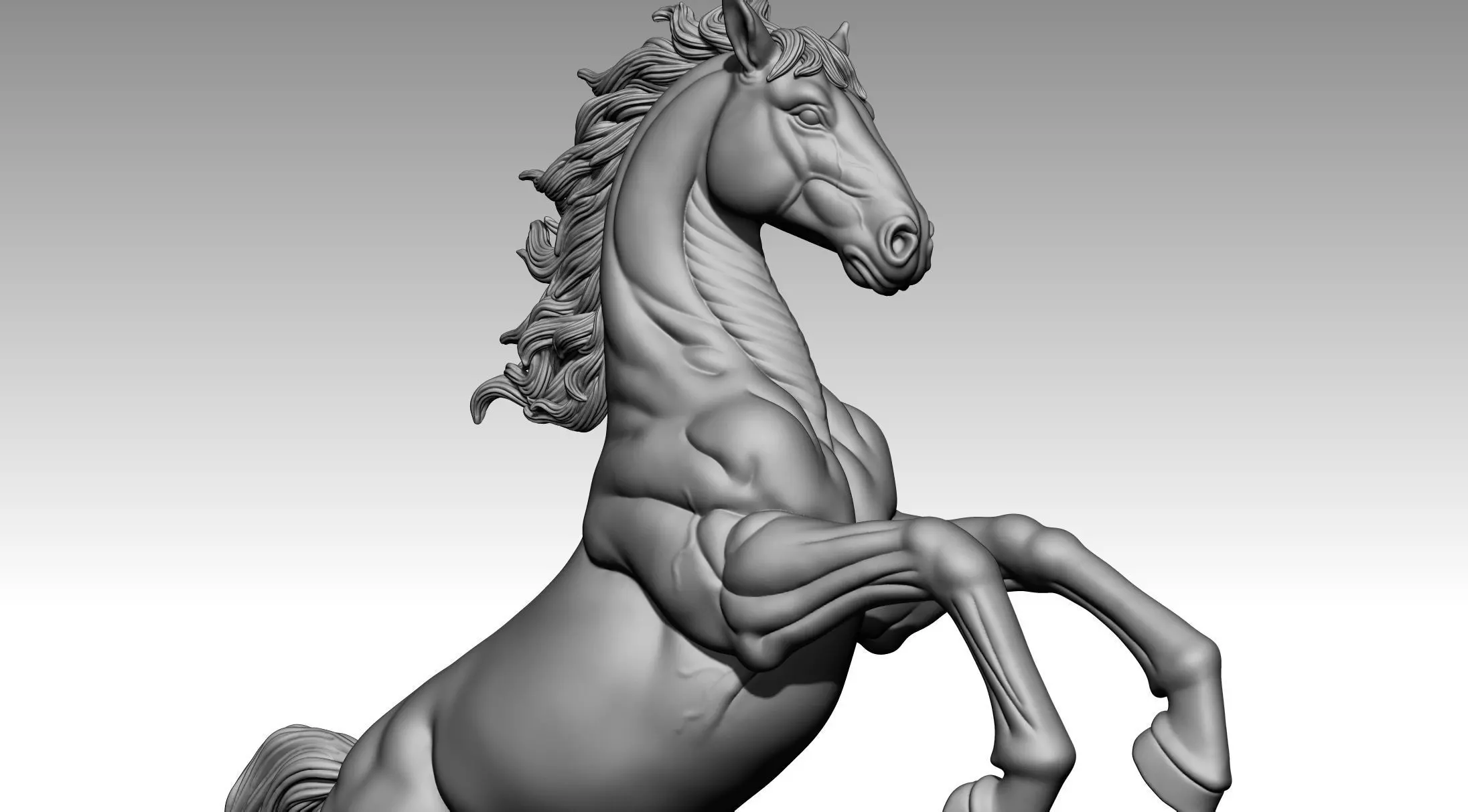 HORSE 3D print model_9