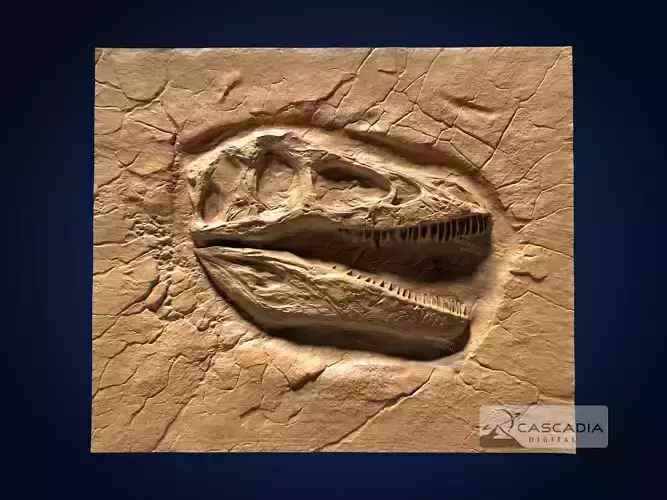 Raptor Skull in Rock - CNC Router Carving Casting Dinosaur