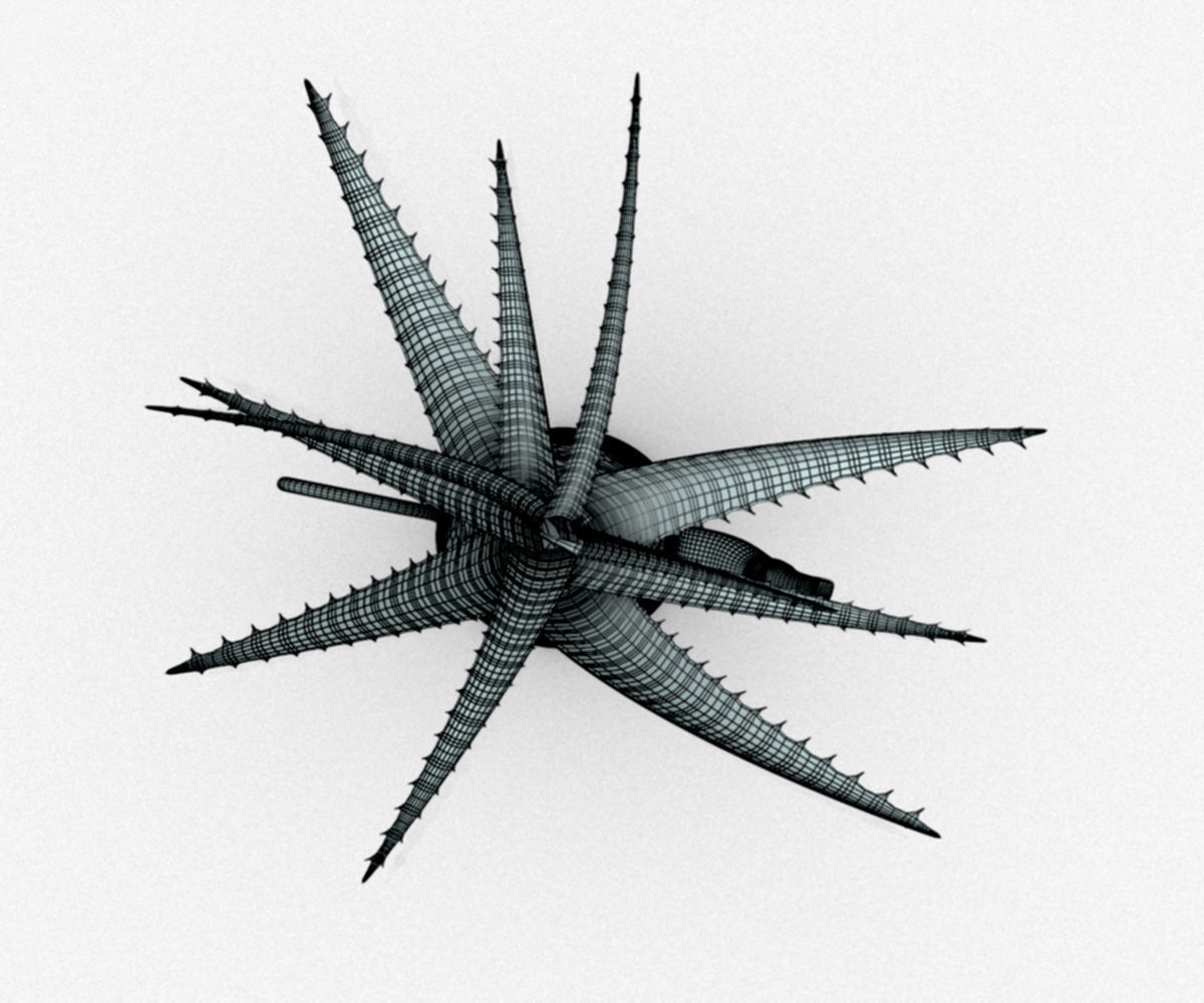 Coffeepot with Aloe Vera plant 3D model_13