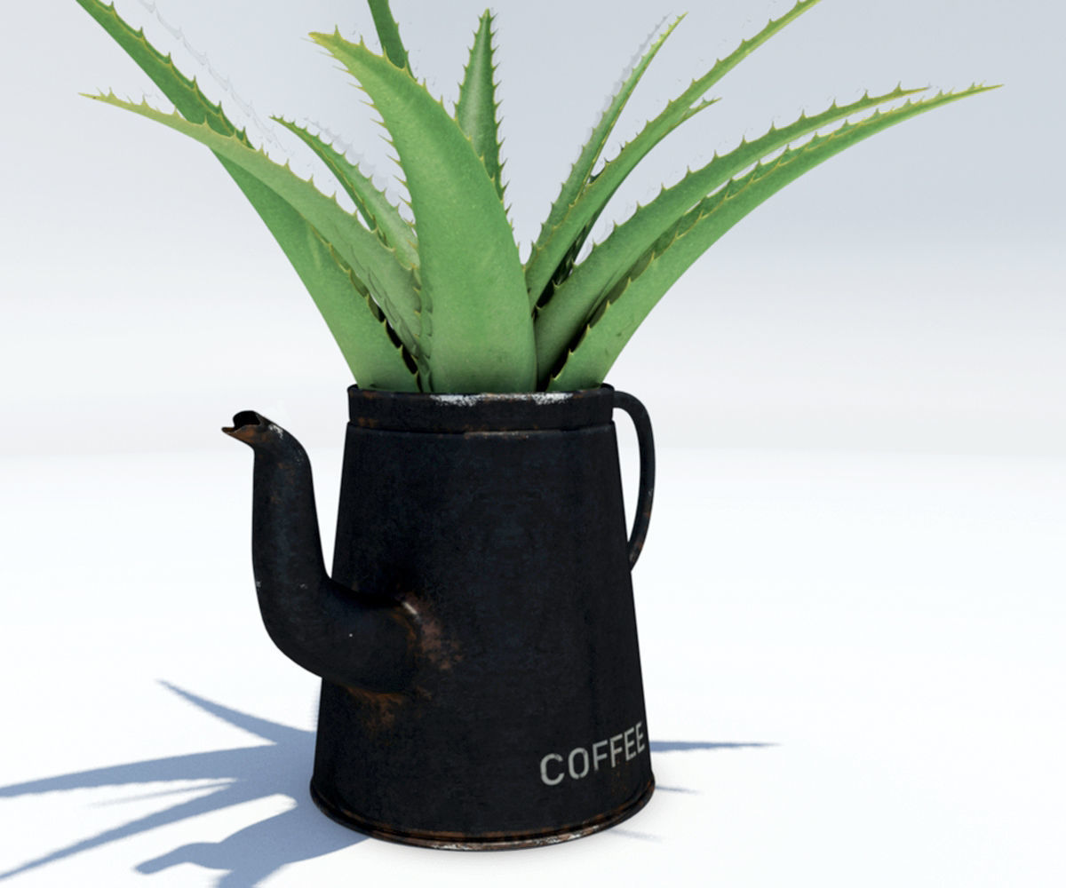 Coffeepot with Aloe Vera plant 3D model_1