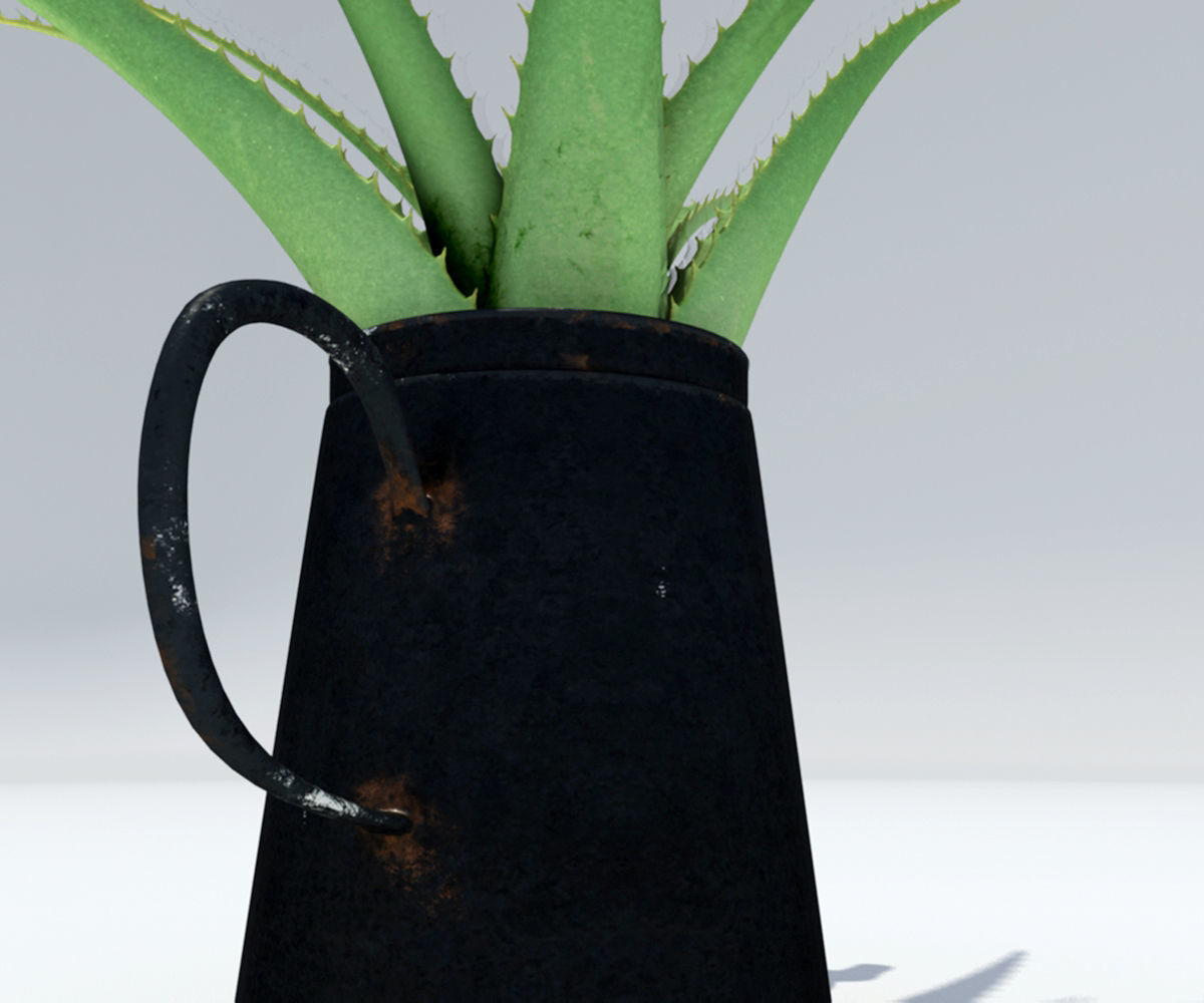 Coffeepot with Aloe Vera plant 3D model_4