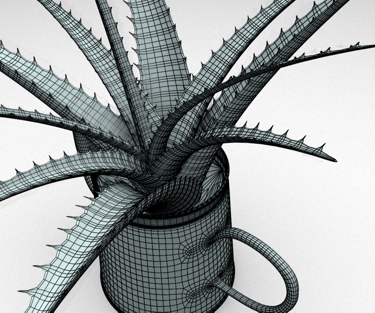 Coffeepot with Aloe Vera plant 3D model_12