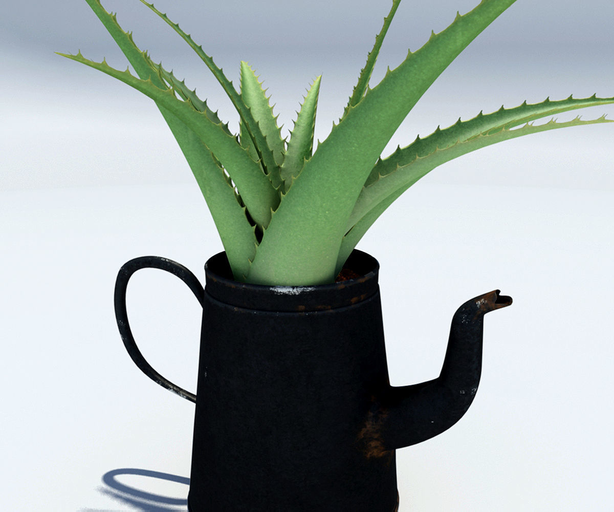 Coffeepot with Aloe Vera plant 3D model_7