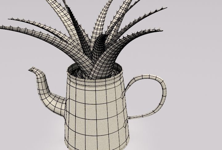 Coffeepot with Aloe Vera plant 3D model_10