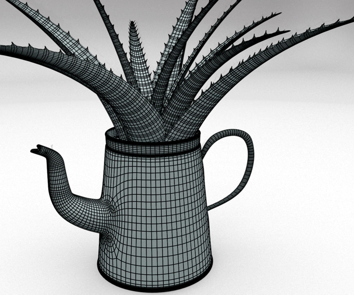 Coffeepot with Aloe Vera plant 3D model_11