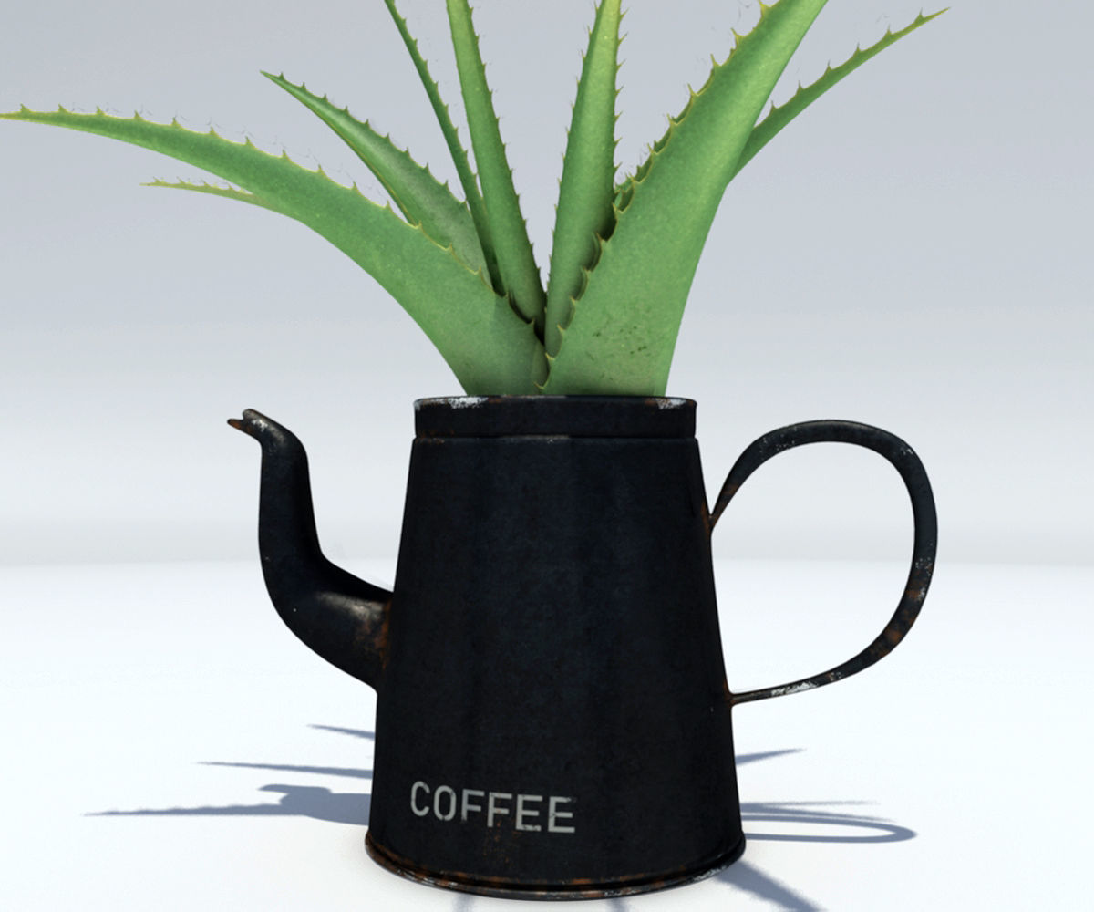 Coffeepot with Aloe Vera plant 3D model_3