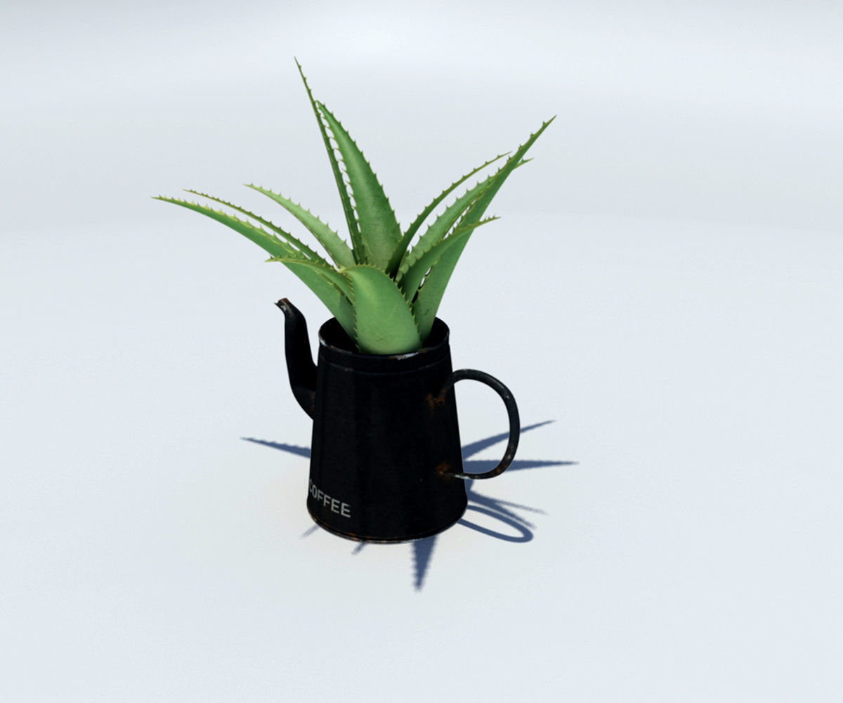 Coffeepot with Aloe Vera plant 3D model_2