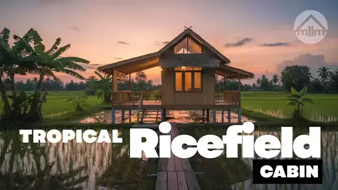 Tropical Ricefield Cabin - Home at Weekend Series