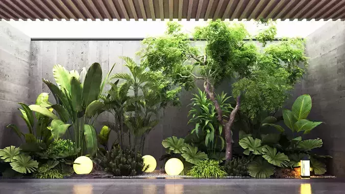 Courtyard plant landscape