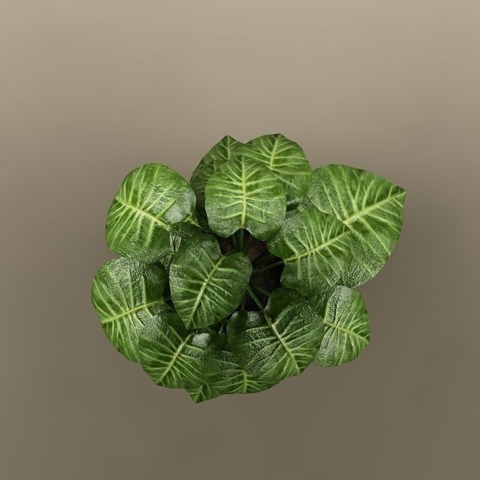 Plant 42 3D model_3
