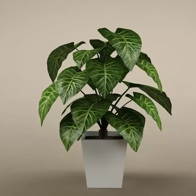 Plant 42 3D model_0
