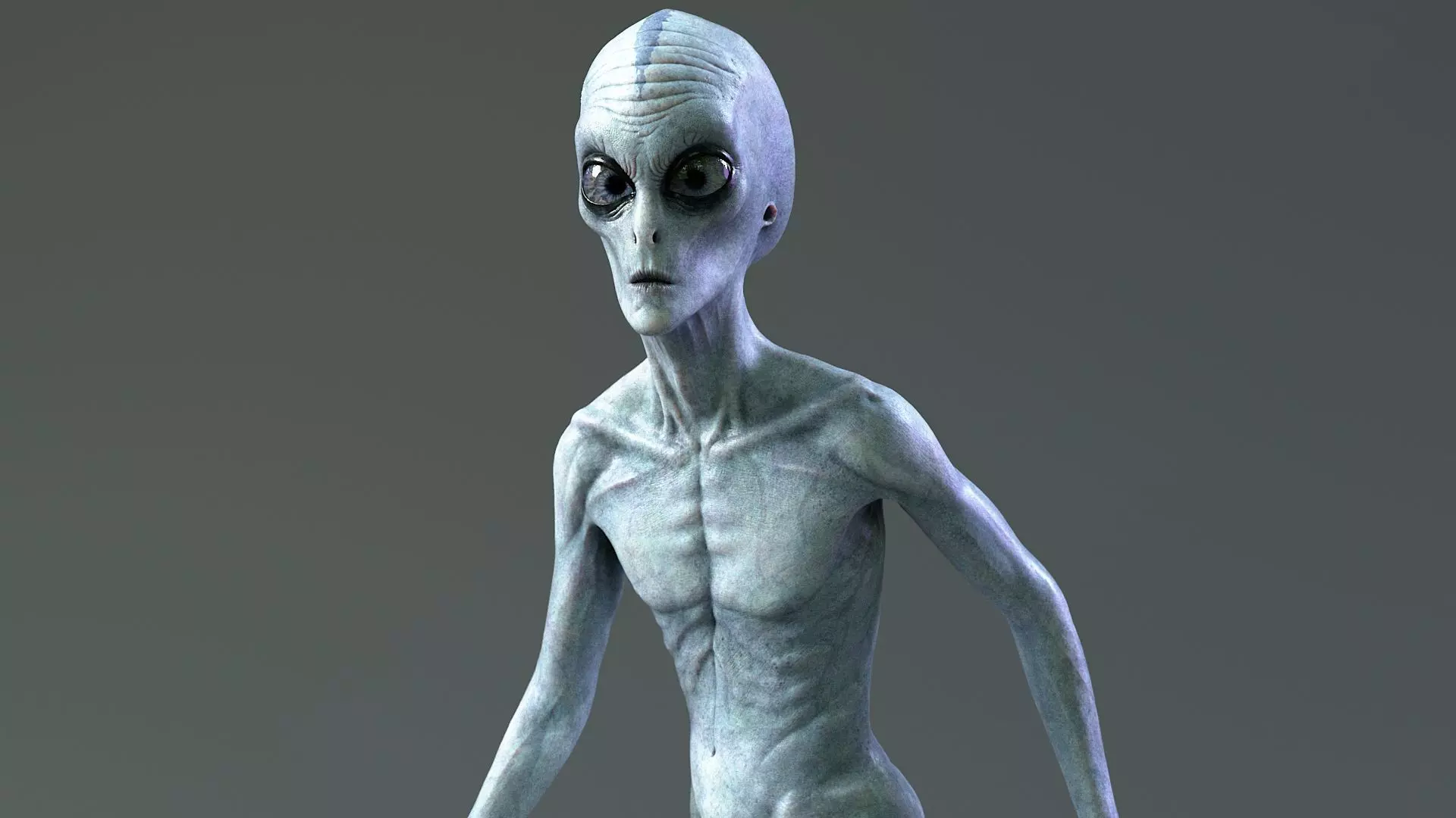 Grey Alien PBR Rigged 3D model_11