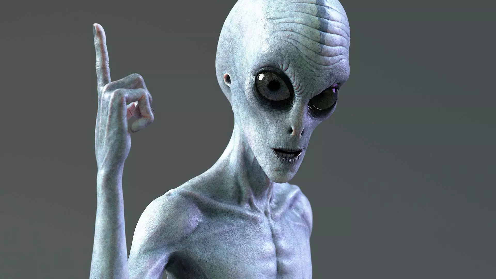 Grey Alien PBR Rigged 3D model_14