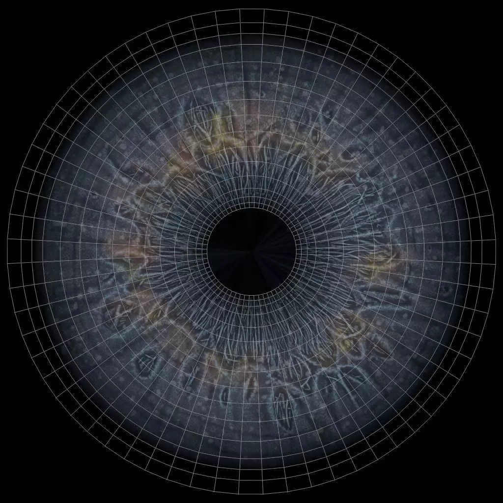 Grey Alien PBR Rigged 3D model_31