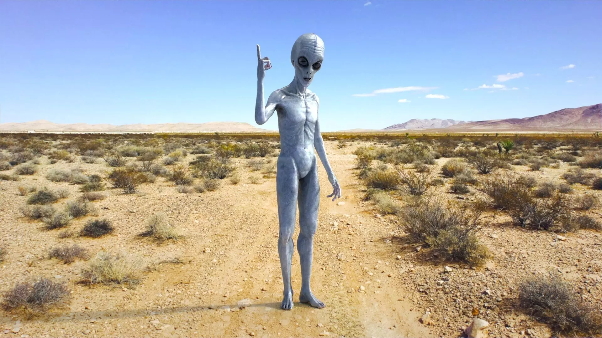 Grey Alien PBR Rigged 3D model_4