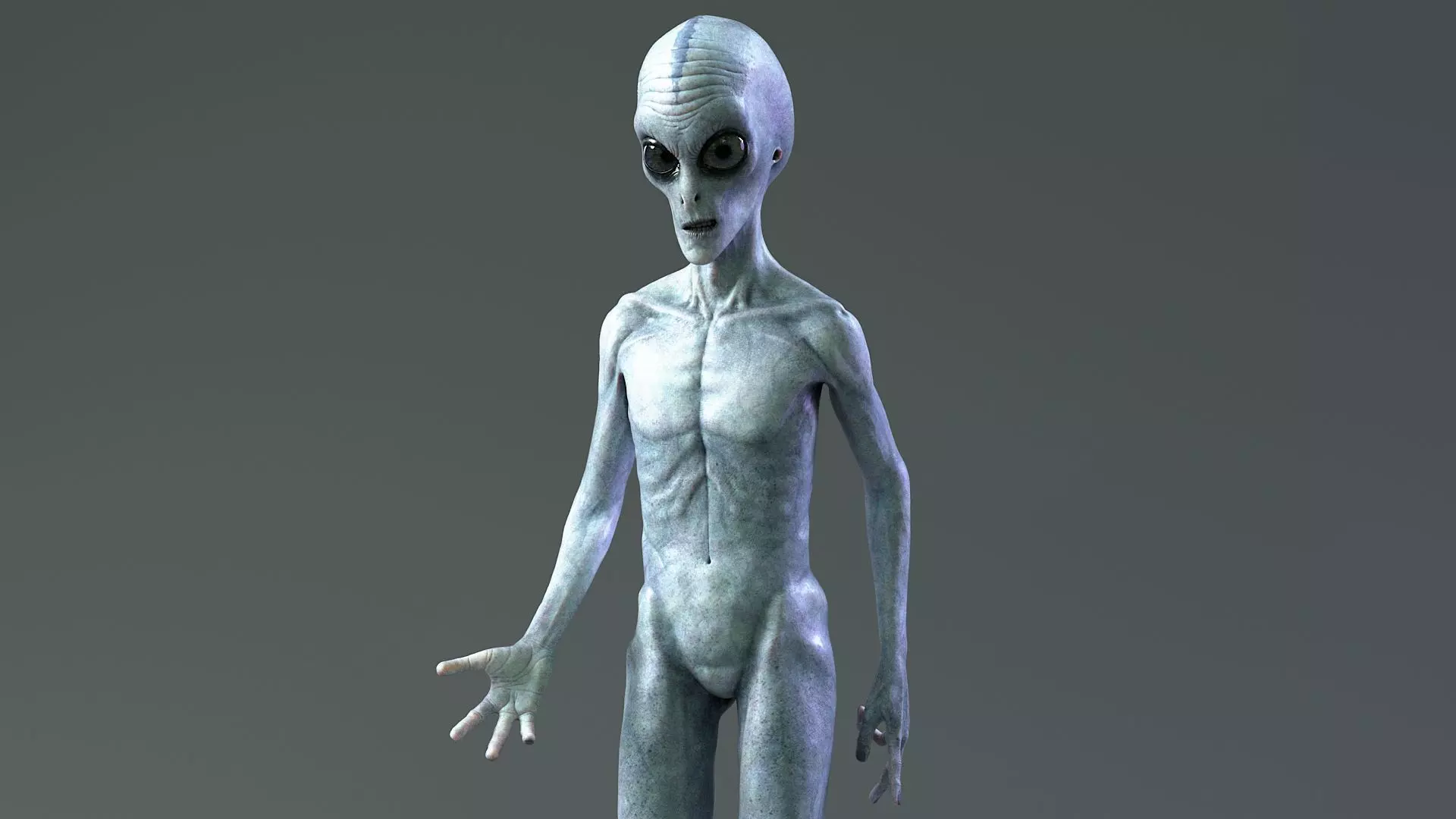 Grey Alien PBR Rigged 3D model_6