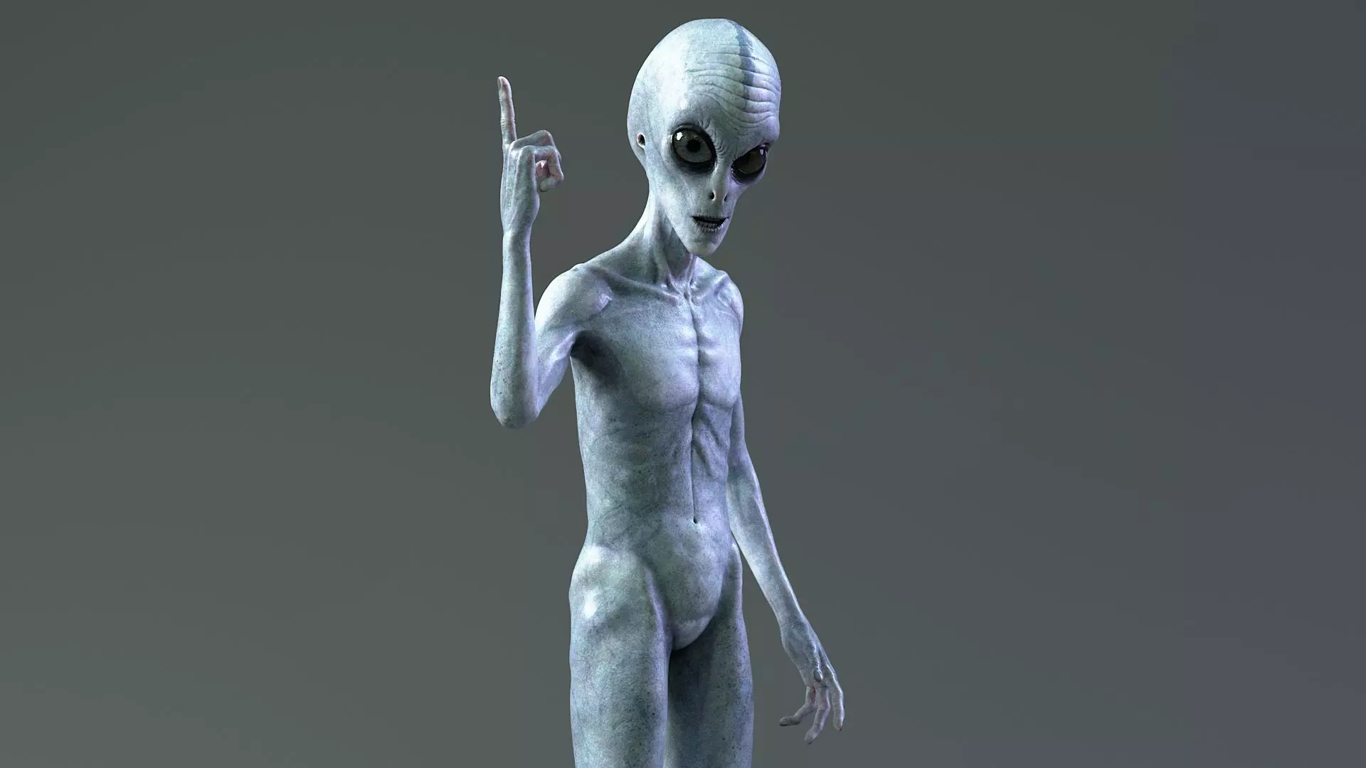 Grey Alien PBR Rigged 3D model_13