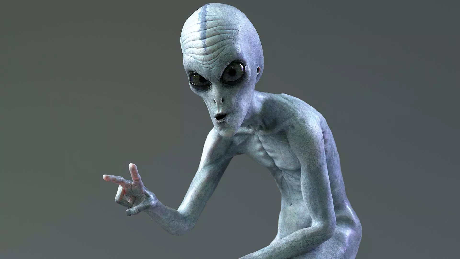 Grey Alien PBR Rigged 3D model_8