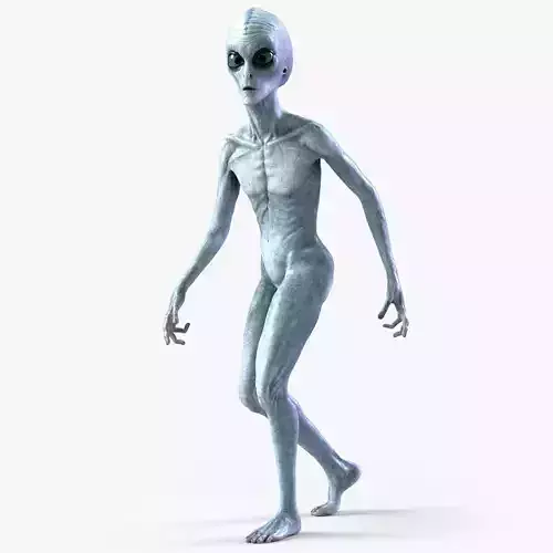 Grey Alien PBR Rigged