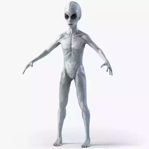 Gray Alien PBR