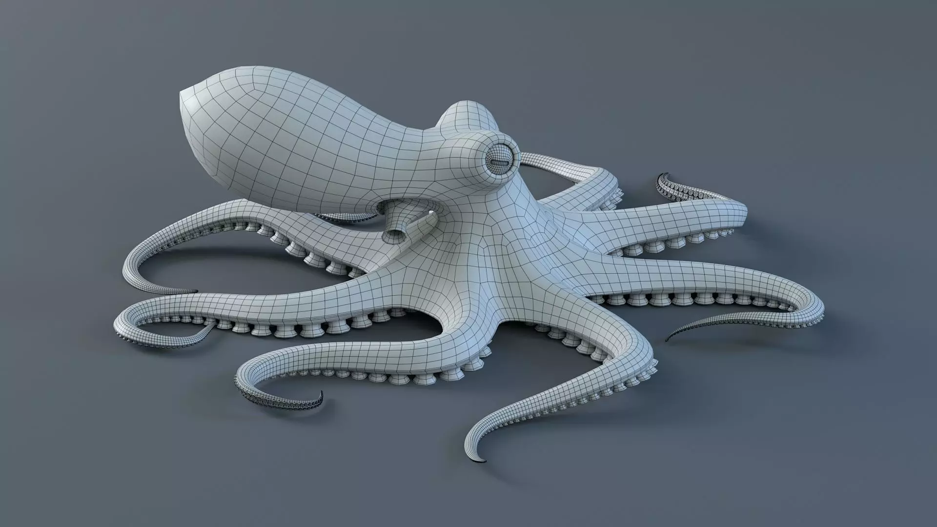 Octopus Pro Rigged 3D model_27