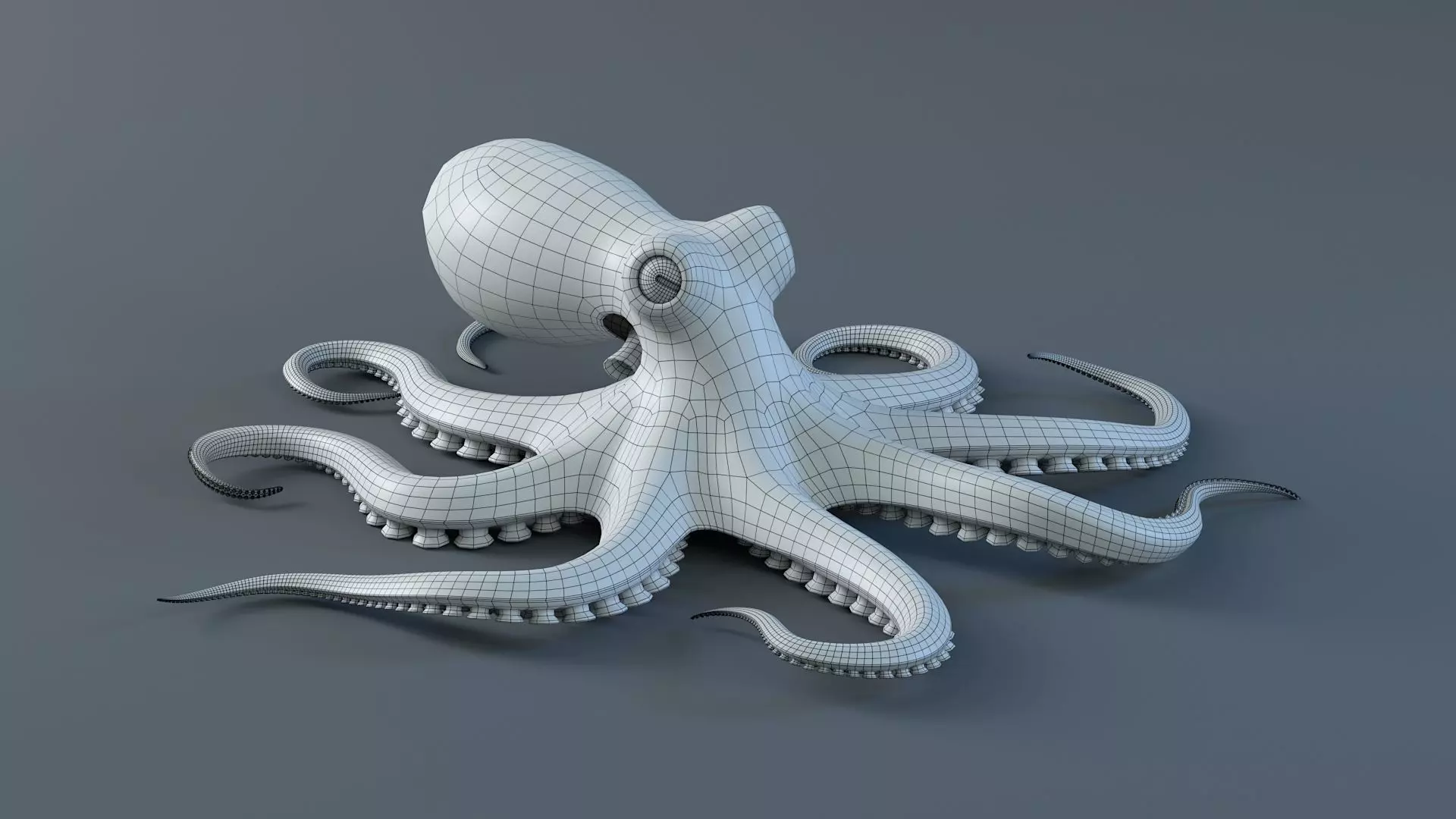 Octopus Pro Rigged 3D model_26