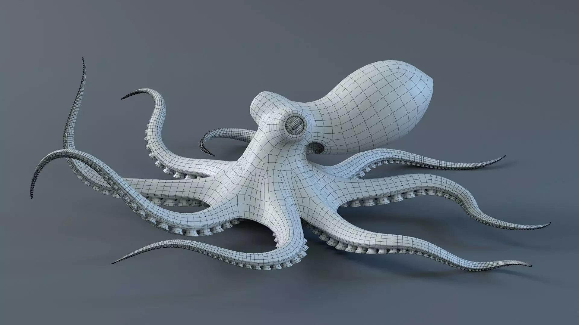 Octopus Pro Rigged 3D model_25