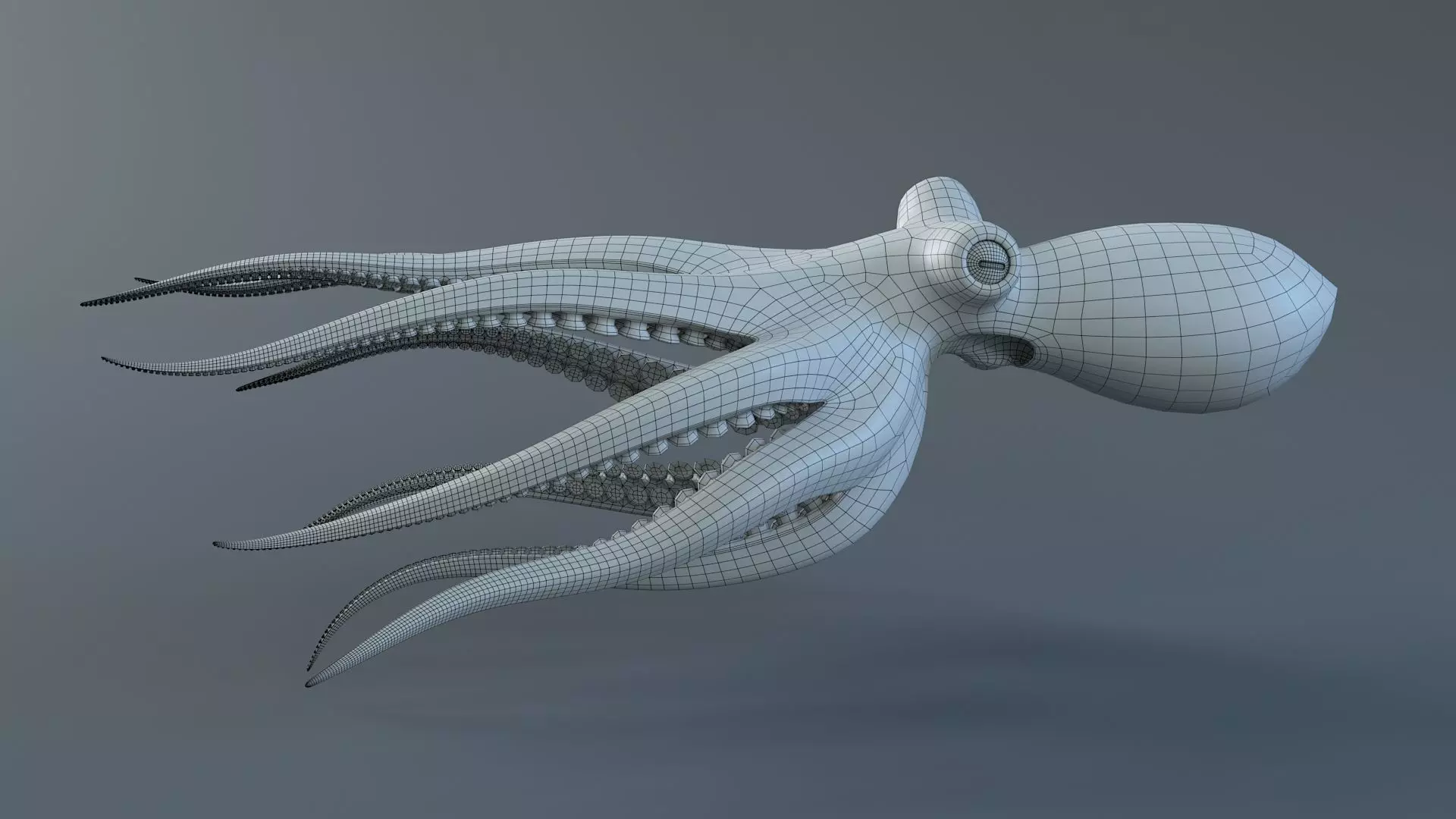 Octopus Pro Rigged 3D model_23