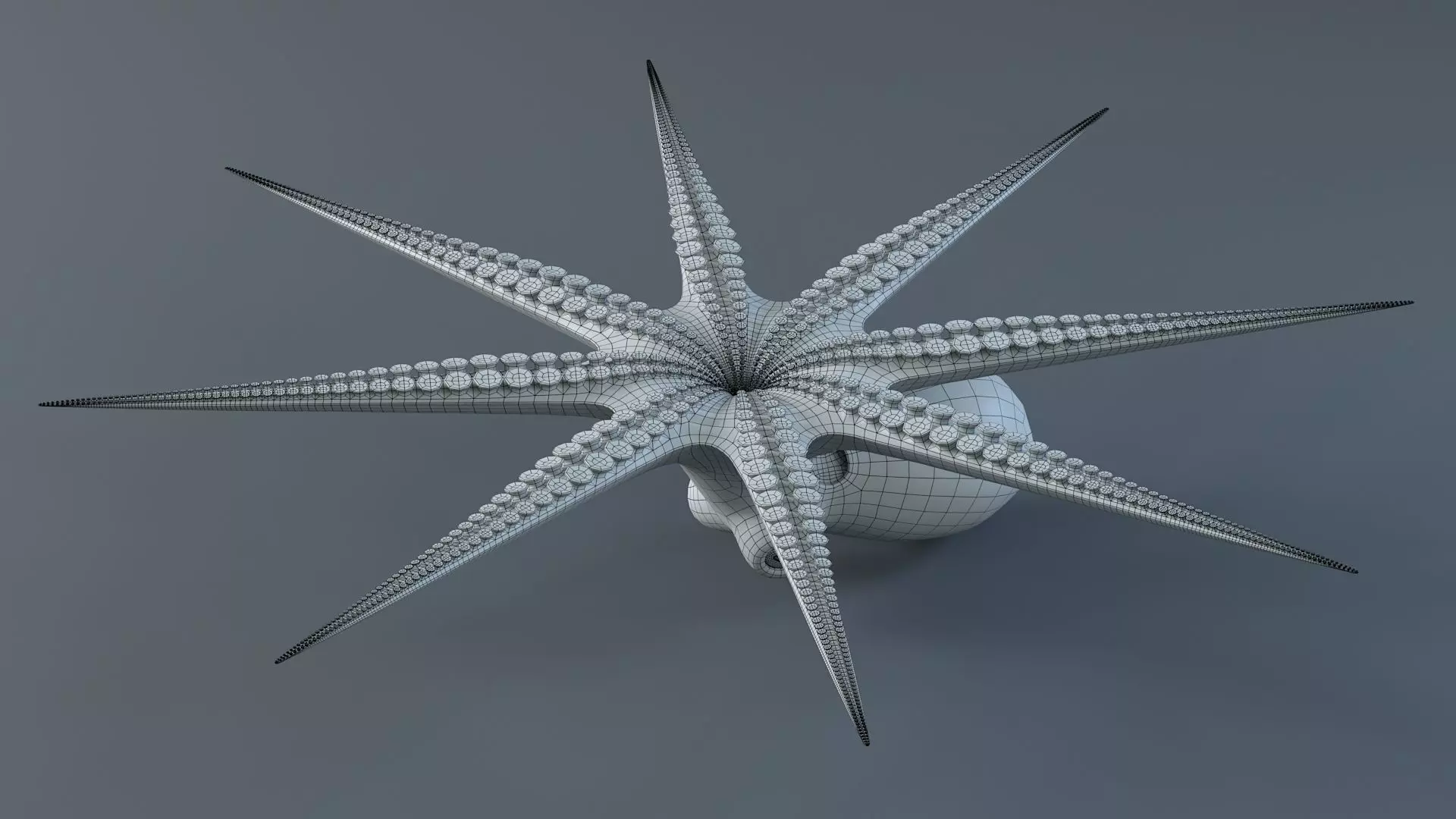 Octopus Pro Rigged 3D model_31