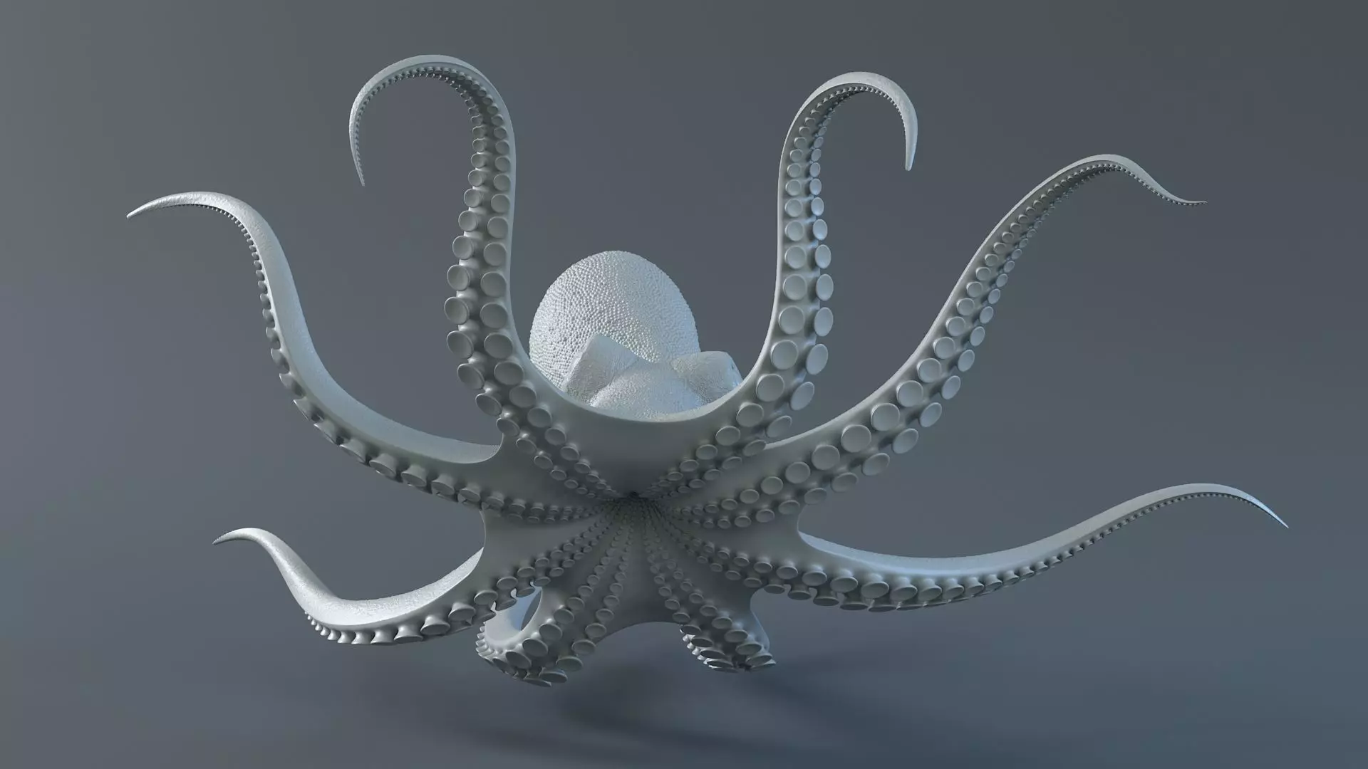Octopus Pro Rigged 3D model_18