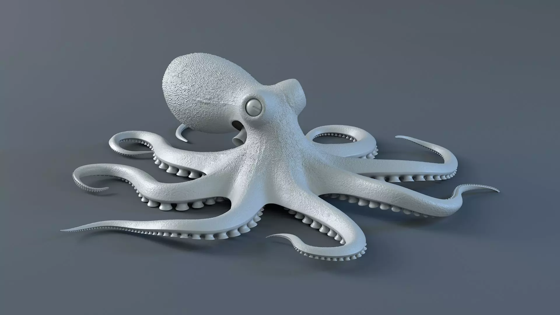 Octopus Pro Rigged 3D model_20