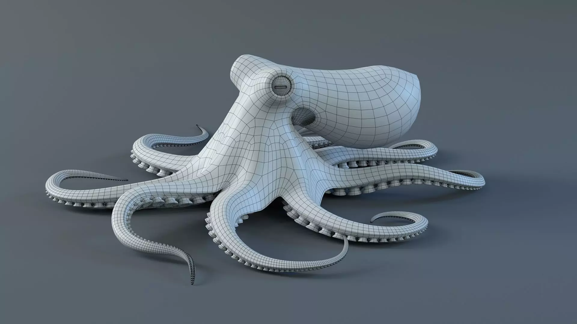 Octopus Pro Rigged 3D model_22